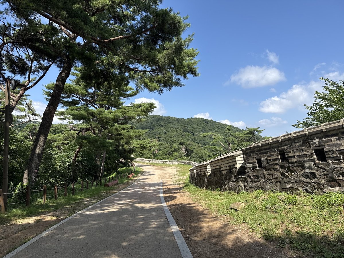 松の木と石垣が並ぶ城壁沿いの道