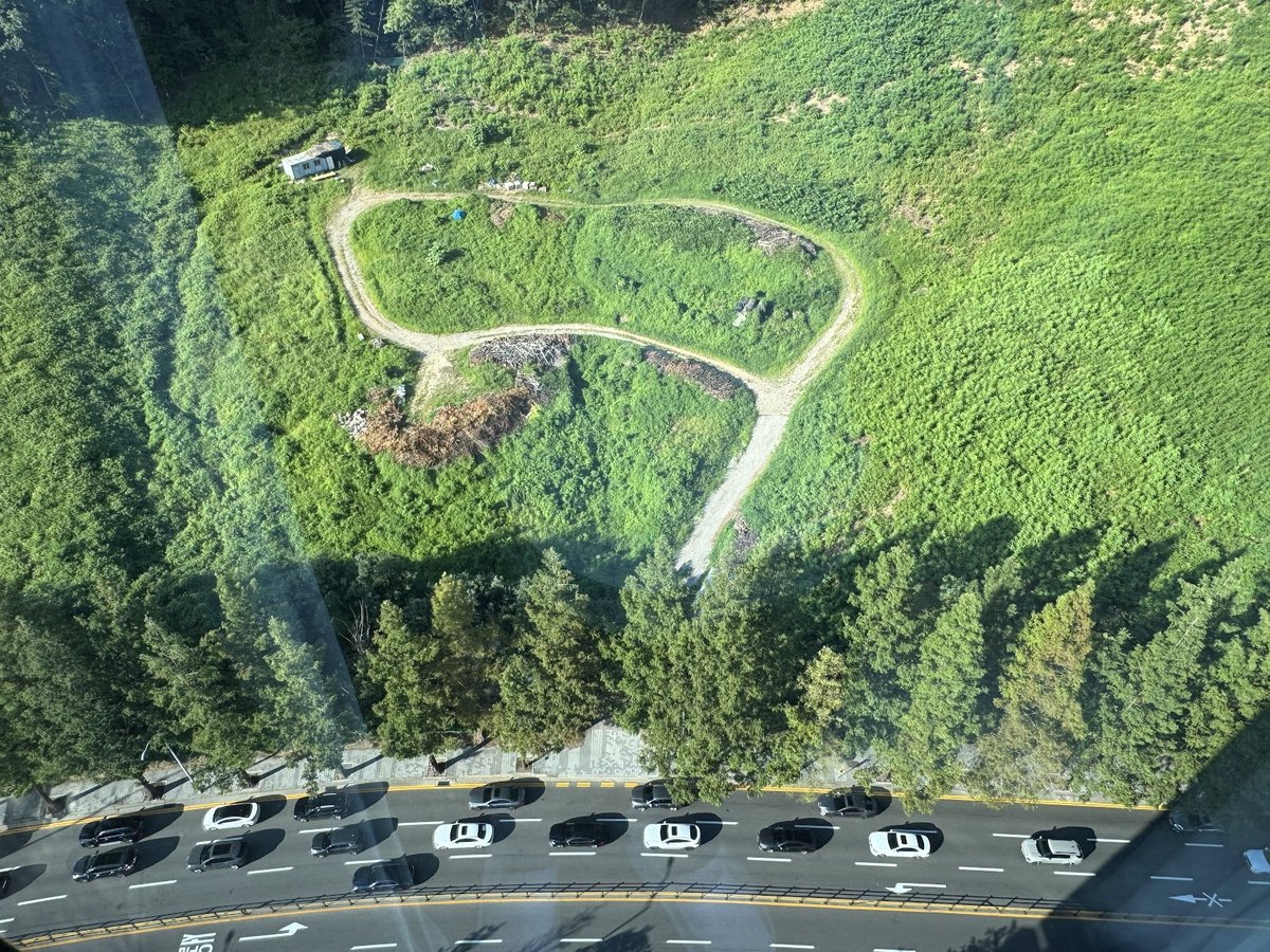 客室の窓から見下ろした道路と森